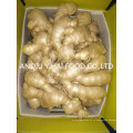 Anqiu Air-Dry-Ginger и свежий имбирь для продажи